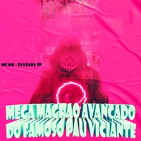 Mega Magrão Avançado do Famoso Pau Viciante - Single - DJ Luana SP & MC MN