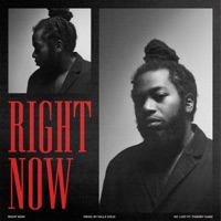 RIGHT NOW (feat. Thierry Ganz) - Single - Mc Lost