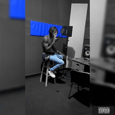 Stock De Flow - Single