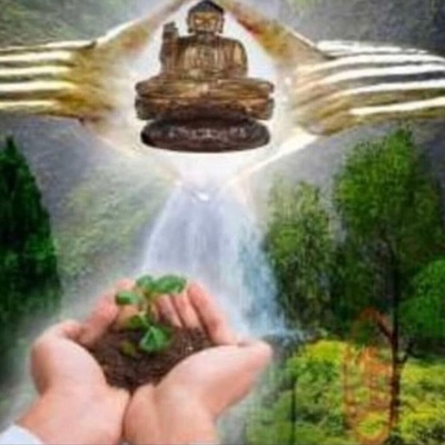 Thank You AllRadiant