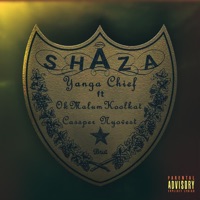 Shaza (feat. Okmalumkoolkat & Cassper Nyovest) - Single - Yanga Chief