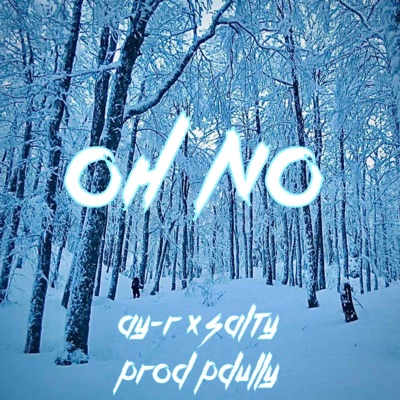 Oh No (feat. Aaron Benz & Salty) - Single