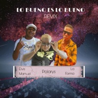 LO BUENO ES LO BUENO (REMIX) - Single - La Forma