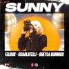 Scarlatelli - Sunny