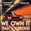 WE OWN IT (FAST & FURIOUS) - Single