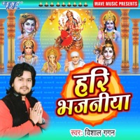 Hari Ke Bhajanawa - Vishal Gagan