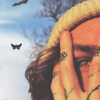 I Forgot How the Sun Felt - Single - MOTHBOY