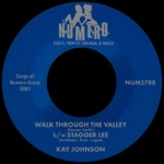 Kay, Johnson - Walk Through the Valley