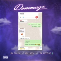 Dommage (feat. El Jay & Black K) - Single - Elow'n