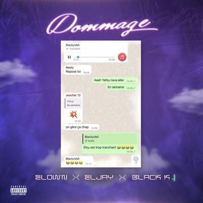 Dommage (feat. El Jay & Black K) - Single