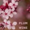 Rambutan - Plum Wine lyrics