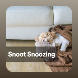 Snoot Snoozing