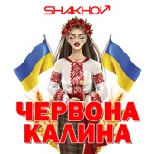 Червона калина artwork