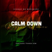 Calm Down (Reggae Remix Mashup) artwork