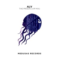 The Prison (VIP Mix) - Single - ALV
