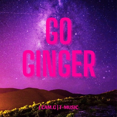 Go Ginger (feat. T-Music) - Single