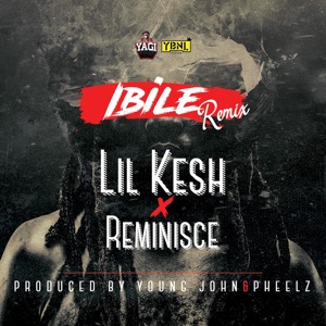 Ibile (feat. Reminisce) [Remix]