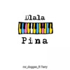 Dlala Pina (feat. terry) - Single