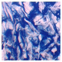 Ocean - Single - Shail