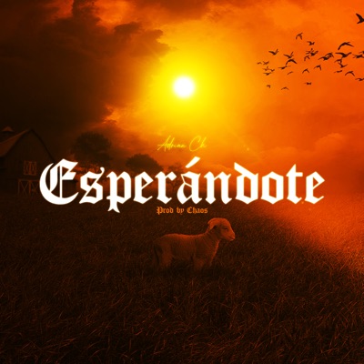 Esperándote - Single
