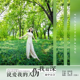 说爱我的人伤我最深 (DJ版) Yu Zhong Bai He