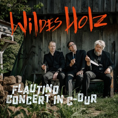 Antonio Vivaldi: Flautino Concert in C-Dur, RV 443 (Arr. G-Dur) - Single