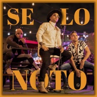 Se Lo Noto (Acoustics Version) - Single - Jtorres