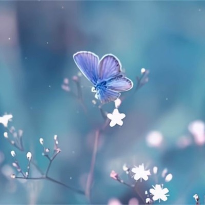 Ai Có Thể Hiểu Được Nỗi Buồn Của Tôi - Single