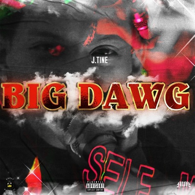 Big Dawg - Single
