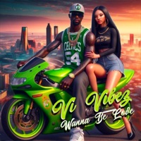 Wanna Be Love (Radio Edit) - Single - Vi Vibez