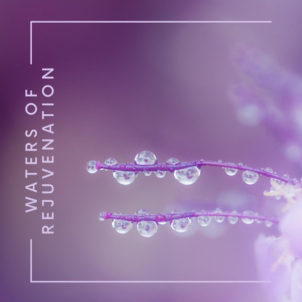Waters of Rejuvenation