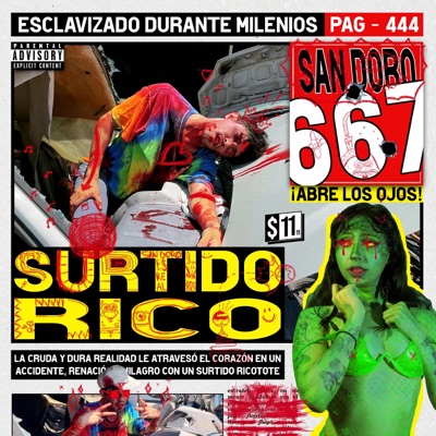 SURTIDO RICO