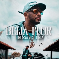Beija-Flor e Nossa História - Single - MC Poneis