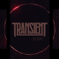 Sow - Single - Transient