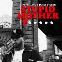 Stupid Mother F***** - Single - Punchline & James Digger