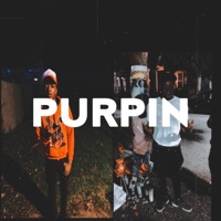 Purpin (feat. Dubb) - Single - paidtwin