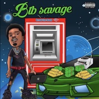 Break the Bank - BTB Savage