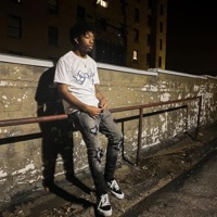 Ferris Wheel (feat. Flipphoneshawty) - Single - Vilenciasounds