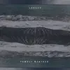 Lunacy - Tumult Weather