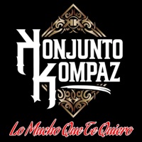 LO MUCHO QUE TE QUIERO