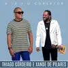 A Lã e o Cobertor