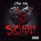 Sorry artwork