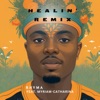 Healin' (feat. Myriam-Catharina) [Remix] - Single