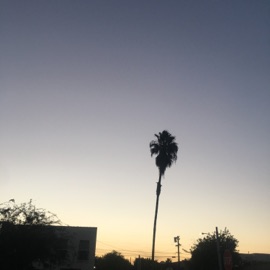 Beah Prollum' (feat. Shiwan) LeXuS