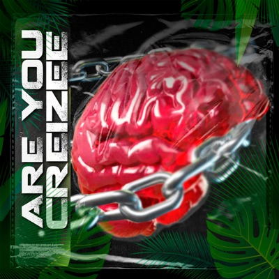 Are You Creizee (feat. Dankerbeatz) - Single