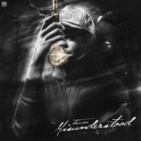 Misunderstood - Taeman
