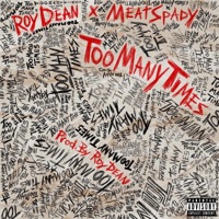 Too Many Times (feat. MeatSpady) - Single - Roy Dean