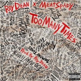 Too Many Times (feat. MeatSpady) Roy Dean
