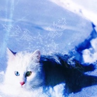 Ptsd - Single - certo1k