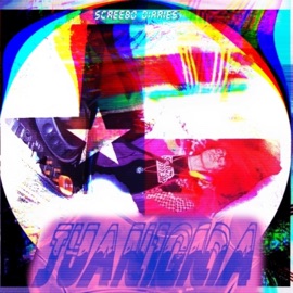 Acoustic Assault Jyanigma